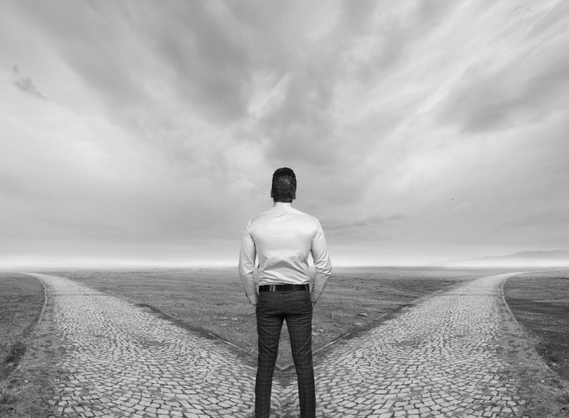 La organización que aprende a volar La organización que aprende a volar